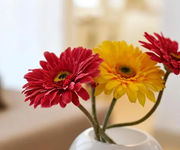 Nina アパート ポレッチ